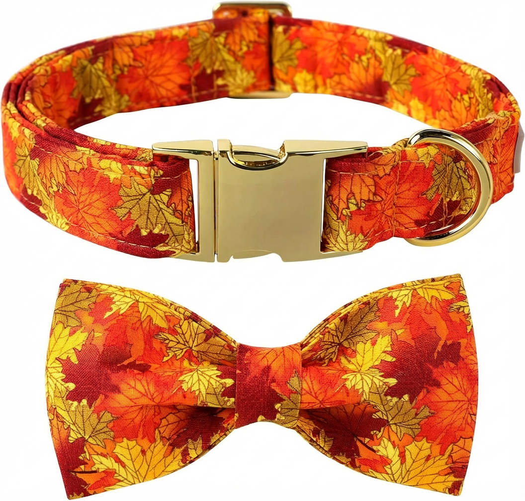 image_Fuzqbs4EEoWg90xcJ2ac0i7Onxb